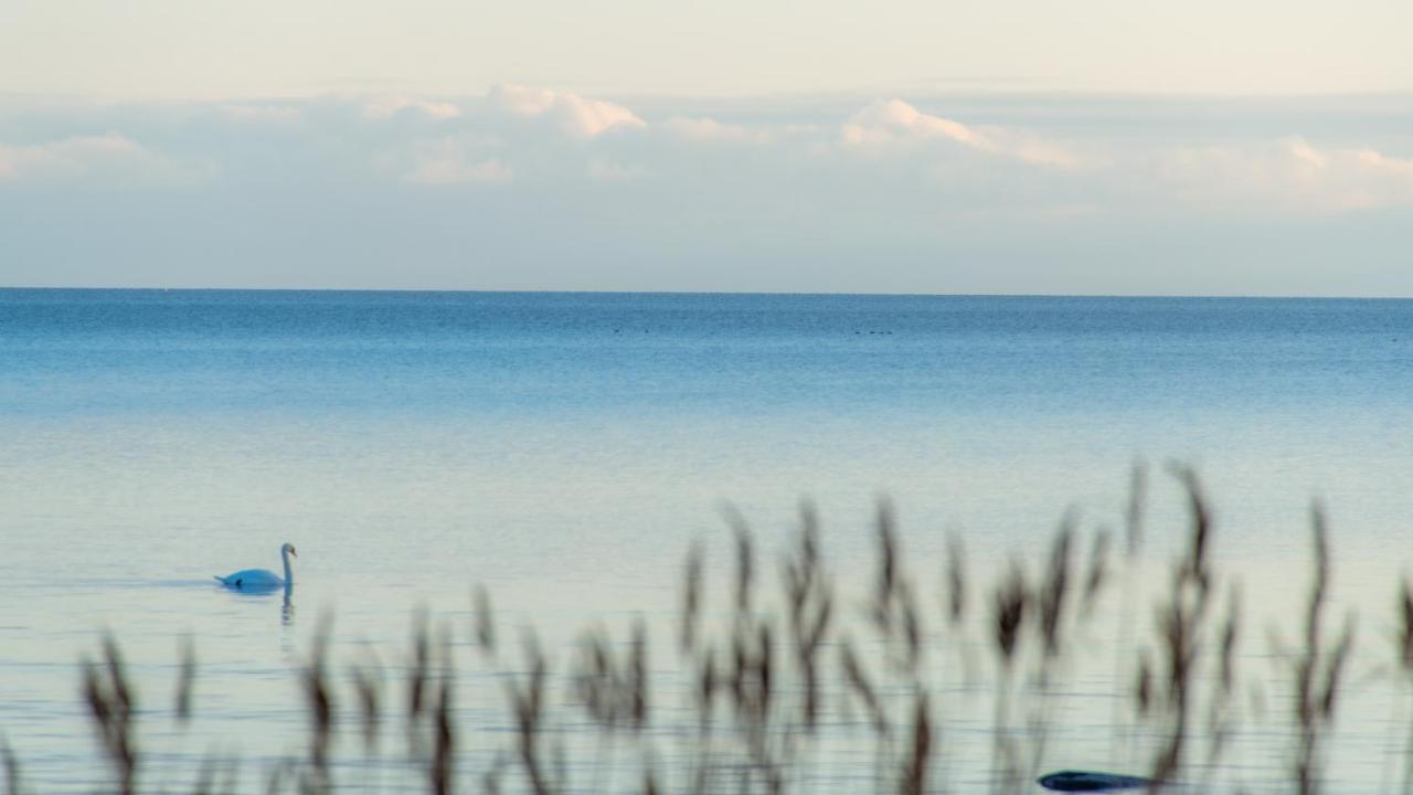 Ferienhaus Kuus Solme - Sea View Kuressaare